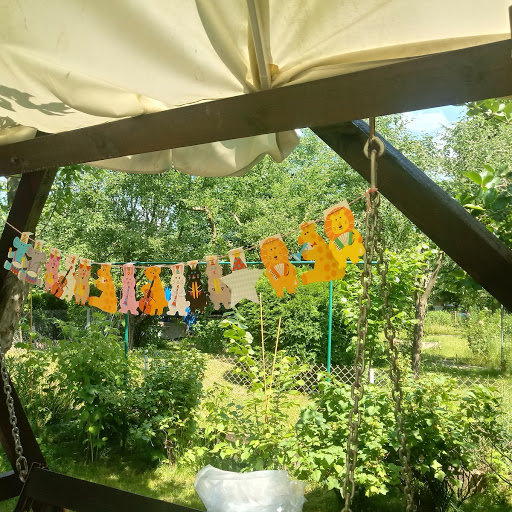 urodziny w ogrodzie