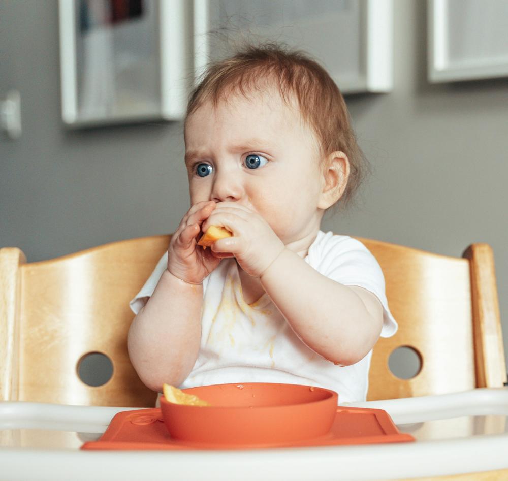 baby highchairs-9af5d17b08b34fd08301e46f65888b1e.jpg baby highchairs