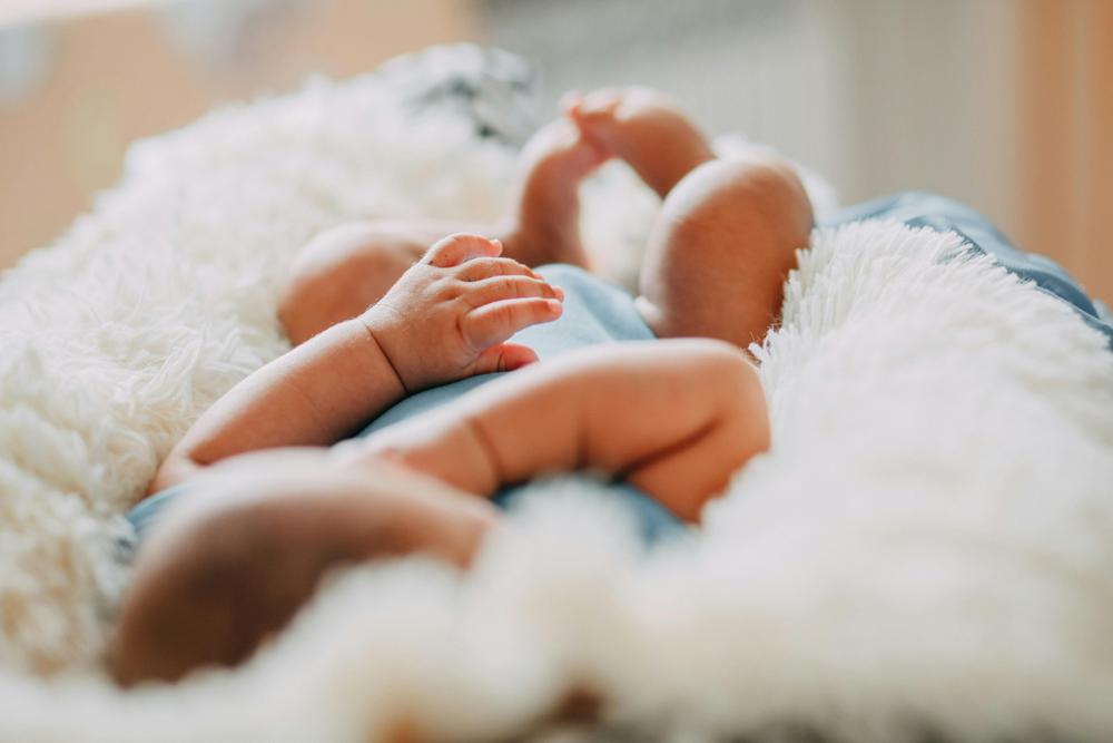 cozy nursery-c85dcbf3e8f34c18af7691066487ea23.jpg cozy nursery